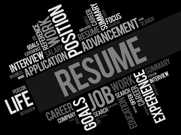 Deluxe Resume Package