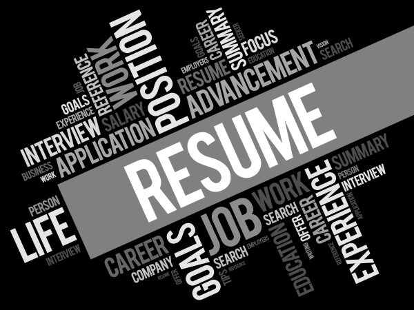 Professional Resume Package